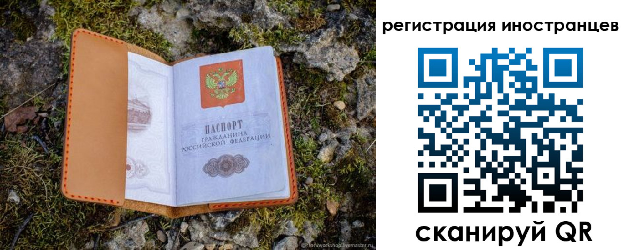 прописка паспорт в Россоши